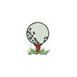 Balle de Golf