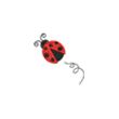 Coccinelle