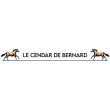 Chevaux