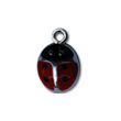 Coccinelle