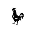 Coq