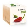 Piment