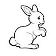 Lapin