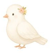 Colombe