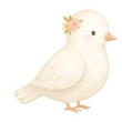 Colombe