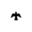 Colombe2