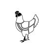 Poulet