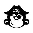 Pirate singe