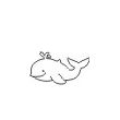 Baleine