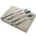 Coffret couverts enfants Lion