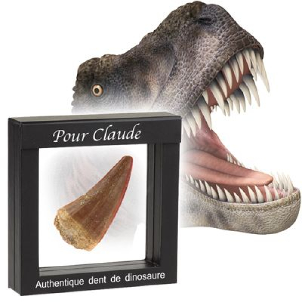 8 Jouet pour grands dinosaures pour tout-petits, Maroc