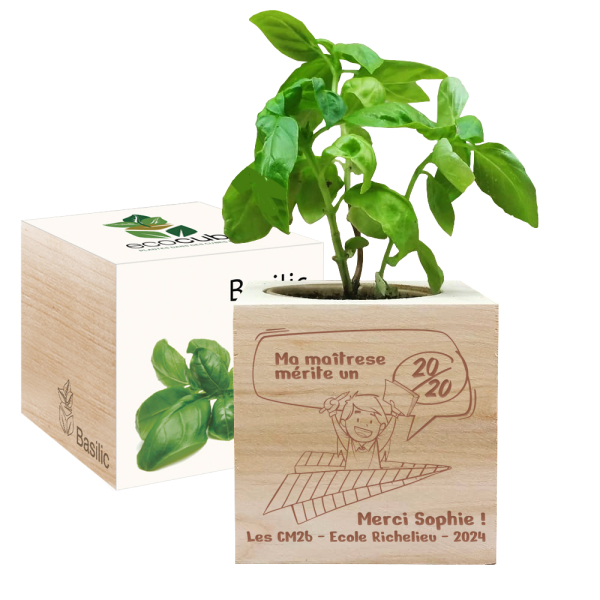EcoCube 20 sur 20 personnalisé