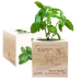 EcoCube 20 sur 20 personnalisé