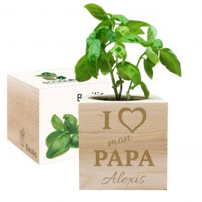 EcoCube personnalisé Papa