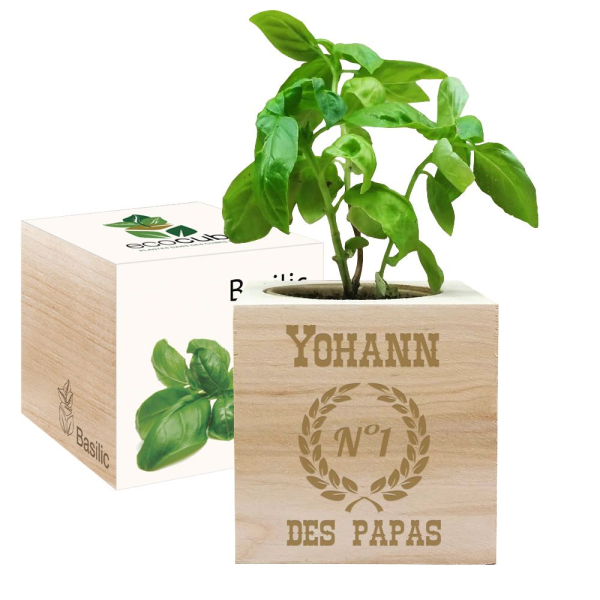 EcoCube personnalisé Papa Numéro 1