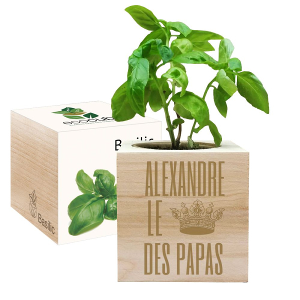 EcoCube personnalisé Roi des Papas