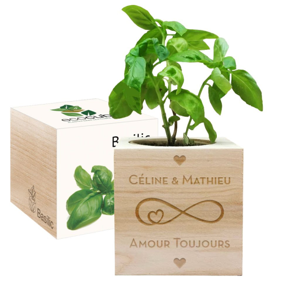 Ecocube amour infini