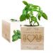 ecocube amour i love you