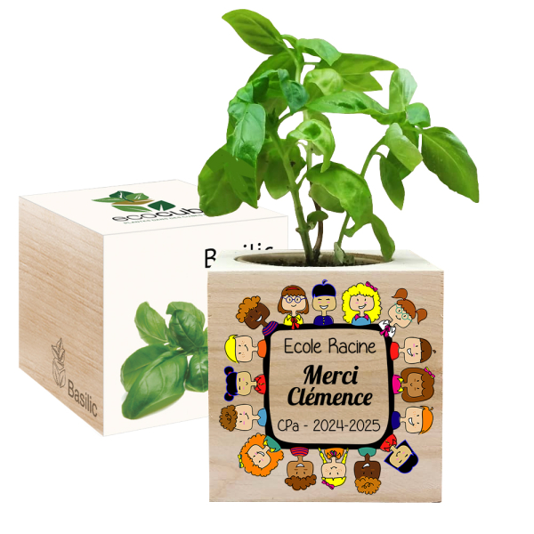 Ecocube imprimé Merci Maîtresse - basilic