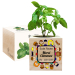 Ecocube imprimé Merci Maîtresse - basilic
