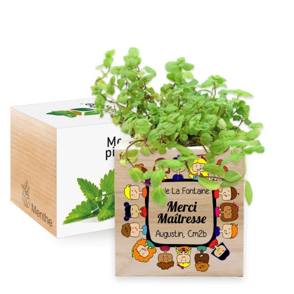 Ecocube imprimé Merci Maîtresse - menthe