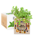 Ecocube imprimé Merci Maîtresse - menthe