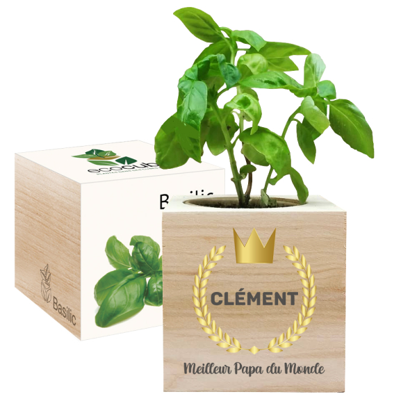 Ecocube personnalisé en couleur Fête des Pères