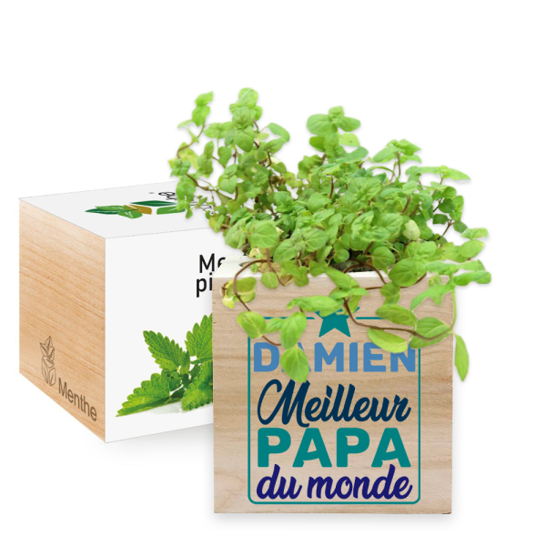 Ecocube personnalisé en couleur Fête des Pères