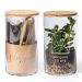 Kit terrarium personnalisé à faire pousser soi-même