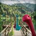 Louche Loch Ness