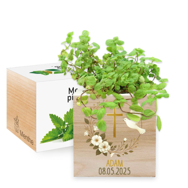 Painettu EcoCube kaste kyyhkynen