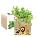 Painettu EcoCube Safari