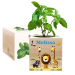 Painettu EcoCube Safari