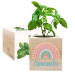 Painettu EcoCube Sateenkaari
