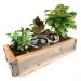 Pierres irrigantes pour plantes
