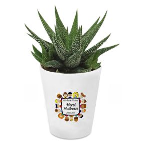 Plante grasse personnalisée Merci Maîtresse Plante grasse personnalisée Merci Maîtresse
