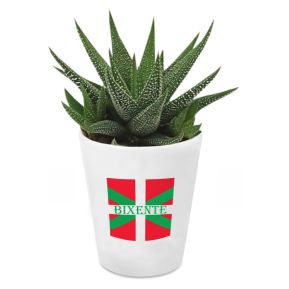 Succulente Haworthia Pays Basque personnalisée