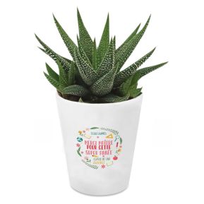 Plante grasse personnalisée Remerciement Maîtresse Plante grasse personnalisée Remerciement Maîtresse