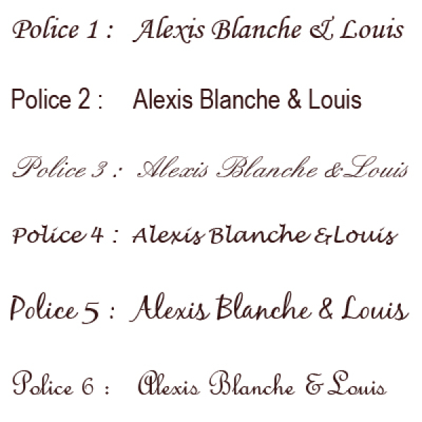 Styles de polices d'écriture