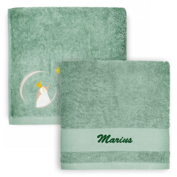 Serviette l'oiseau bateau pingouin vert