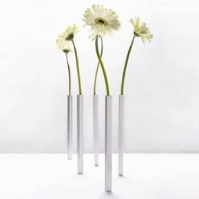 Les cinq vases 'magnetic' Les cinq vases 'magnetic'