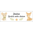 Jméno a krátká zpráva