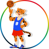 Basketbal