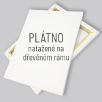 Plátno na blindráme&#269;ku