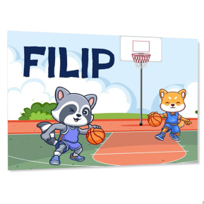 Personalizovan dětsk cedulka na dveře  Basketbal