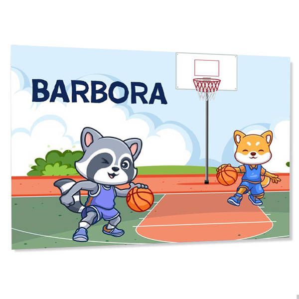 Personalizovaná d&#283;tská cedulka na dve&#345;e  Basketbal
