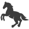 Hest