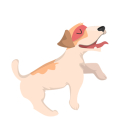 Hund1