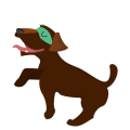 Hund6