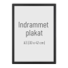 Indrammet plakat